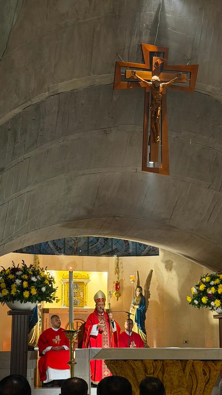 san lorenzo 7
